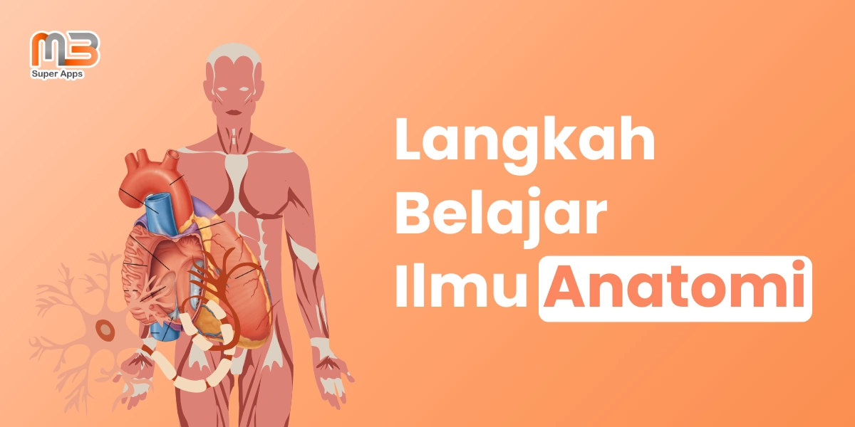 Langkah-Langkah Mempelajari dan Memahami Ilmu Anatomi