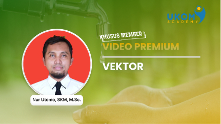 Vektor