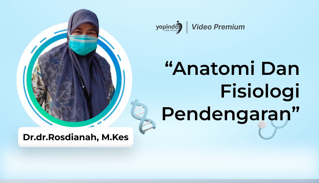 Anatomi dan Fisiologi Sistem Pendengaran