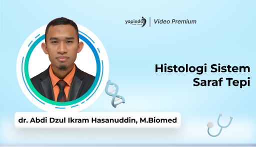Histologi Sistem Saraf Tepi