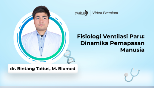 Fisiologi Ventilasi Paru: Dinamika Pernapasan Manusia
