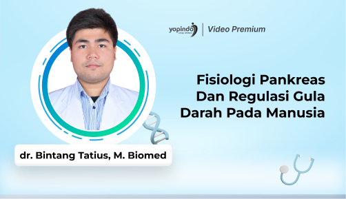 Fisiologi Pankreas dan Regulasi Gula Darah pada Manusia