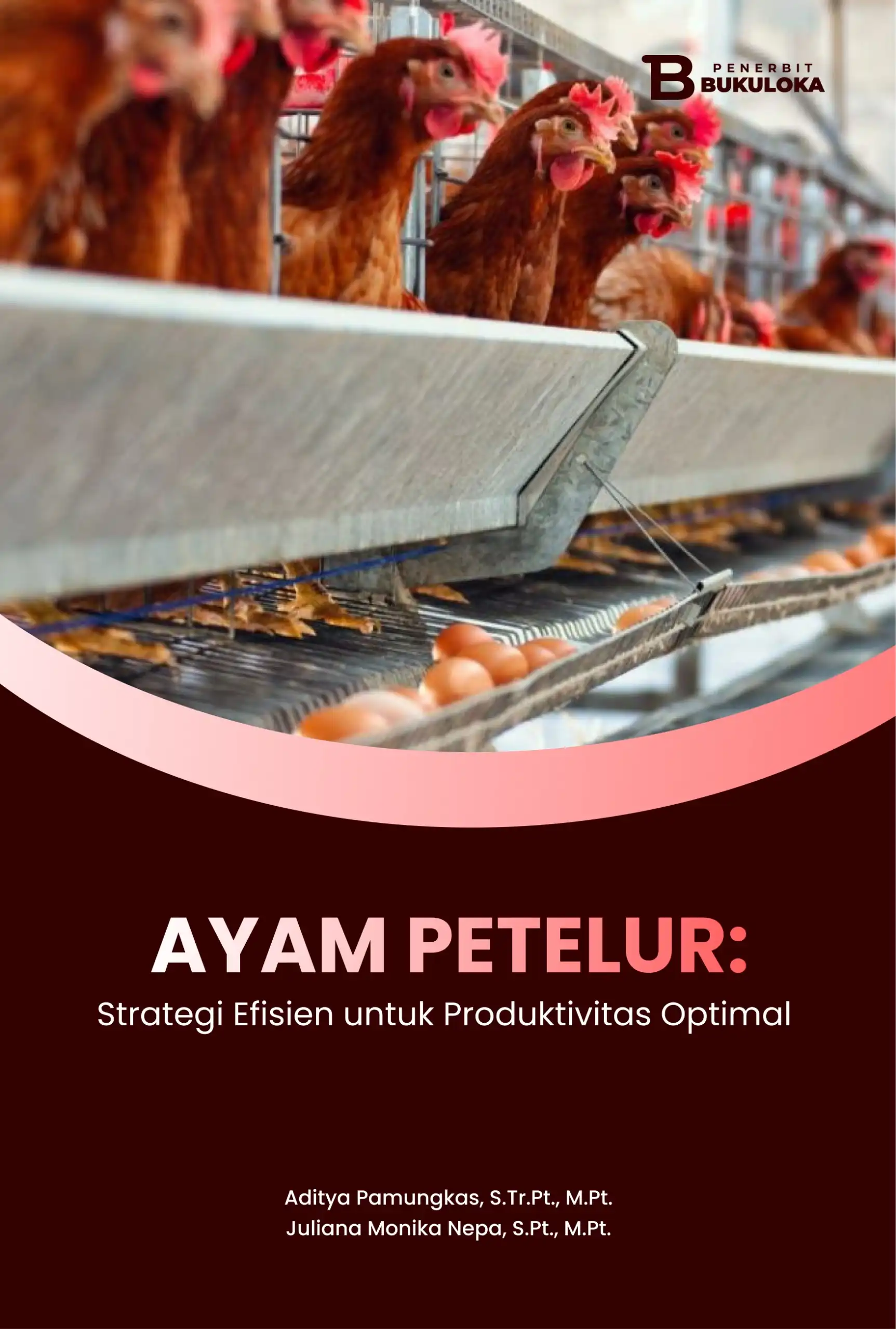 Ayam Petelur: Strategi Efisien untuk Produktivitas Optimal 