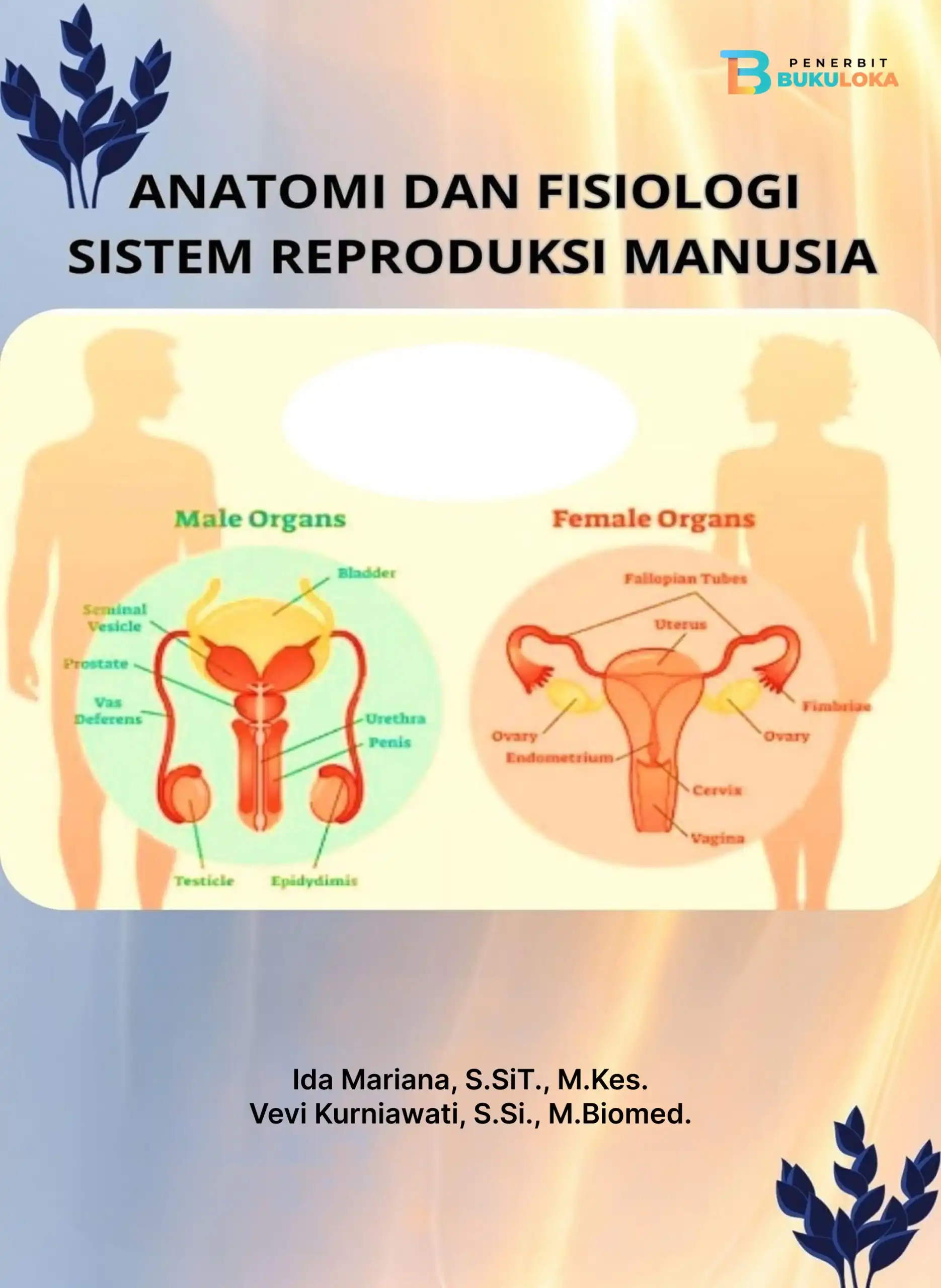 Anatomi dan Fisiologi Sistem Reproduksi Manusia