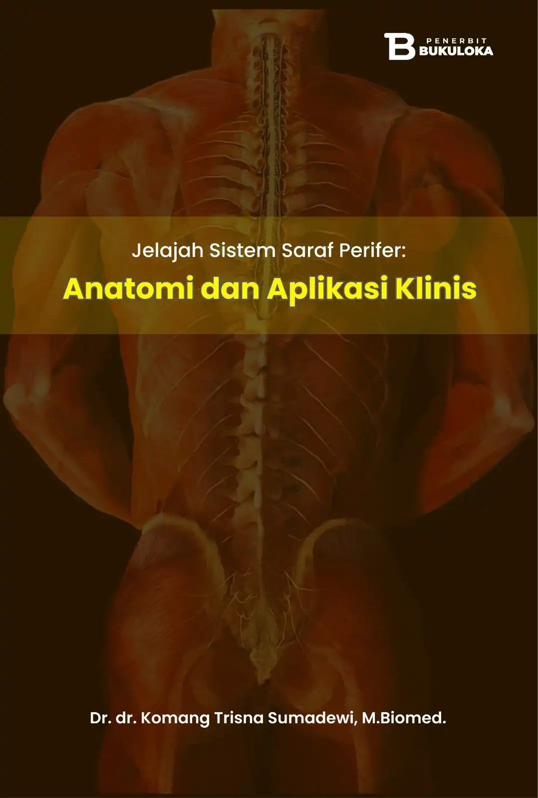 Jelajah Sistem Saraf Perifer: Anatomi dan Aplikasi Klinis