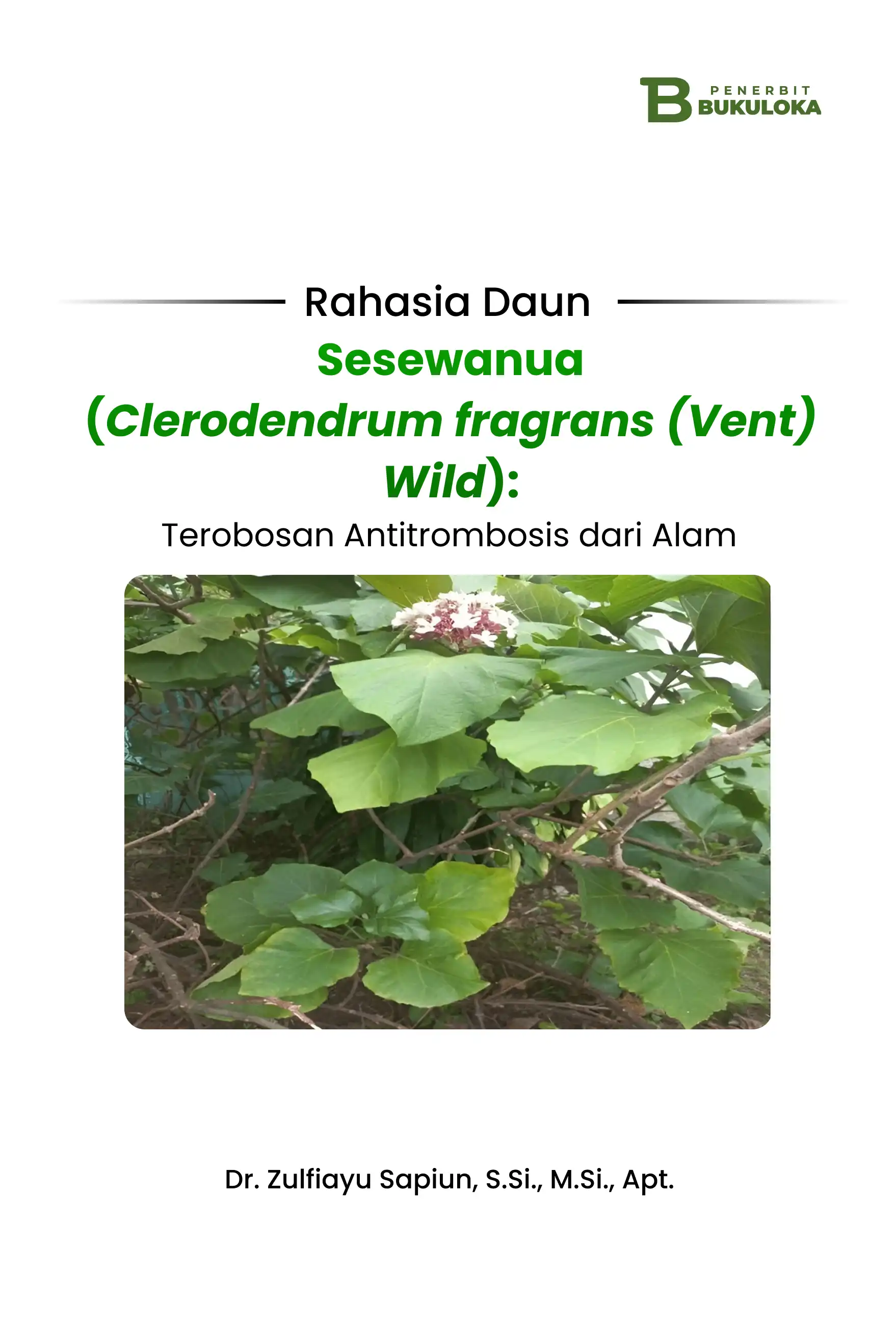 Rahasia Daun Sesewanua (Clerodendrum fragrans (Vent) Wild): Terobosan Antitrombosis dari Alam